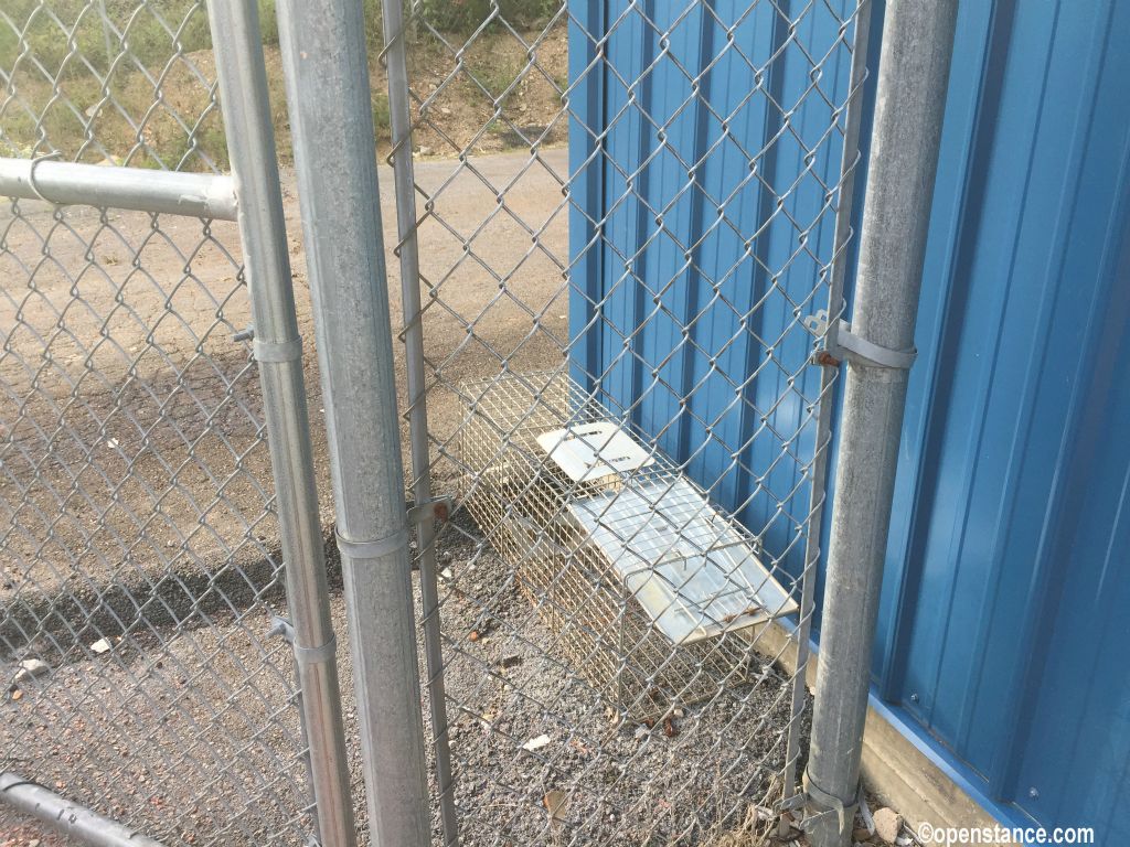 The playground leaves a bit to be desired.