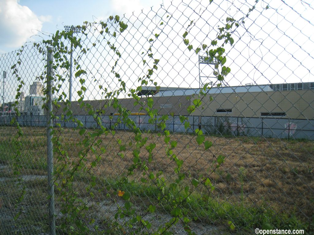 The ivy-covered fence?