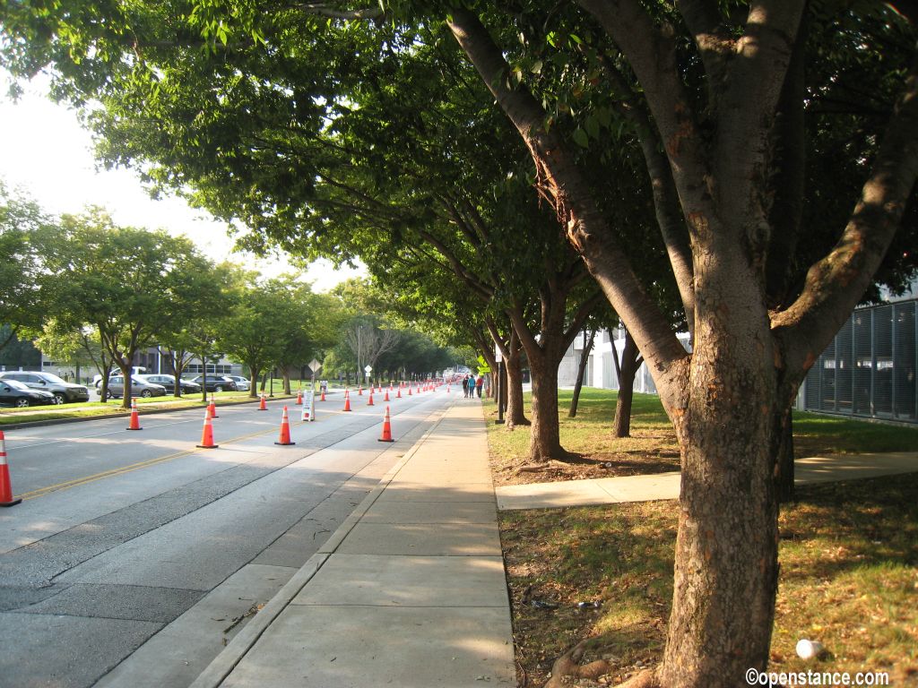 That's better. The traffic cones were in bloom!