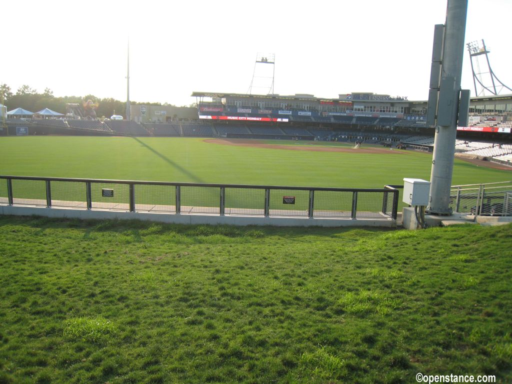 Nice grass.