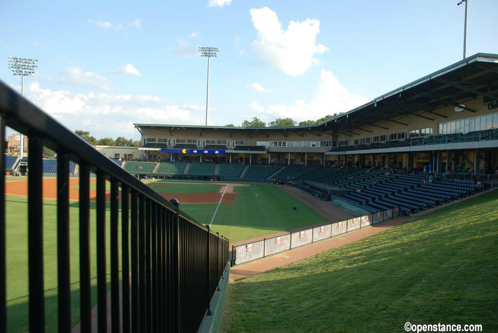 The grass is prime foul ball territory.