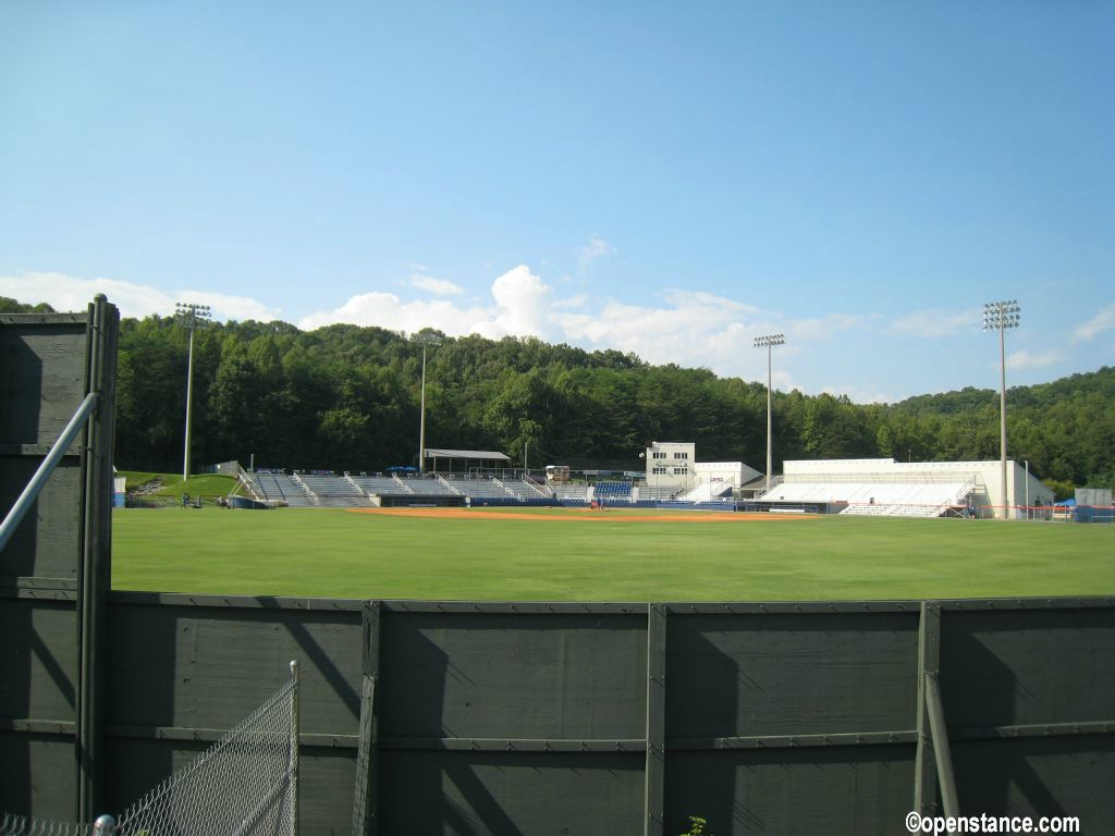 Peeking over the outfield fence.