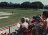 Municipal Stadium - West Palm Beach, FL