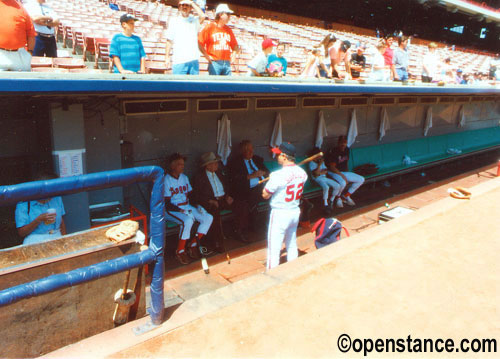 Angel Stadium of Anaheim