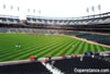 Comerica Park - Detroit, MI