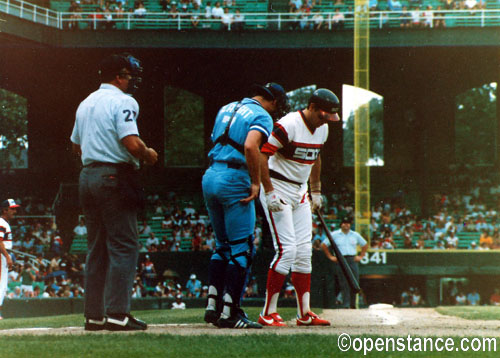 Comiskey Park - Chicago, IL