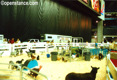 Olympic Stadium - Montreal, PQ