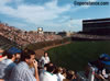 Wrigley Field - Chicago, IL