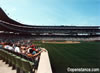 Wrigley Field - Chicago, IL