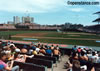 Wrigley Field - Chicago, IL