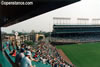 Wrigley Field - Chicago, IL